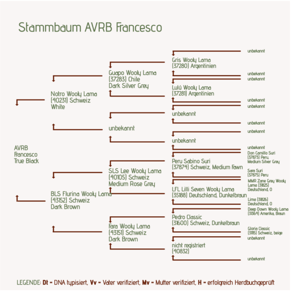Stammbaum AVRB Francesco_Lamahengst für Lamazucht